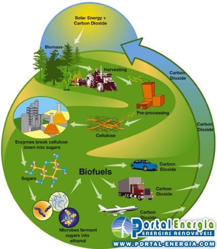 Biomass energy cycle