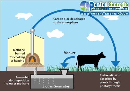 Biogas production cycle work