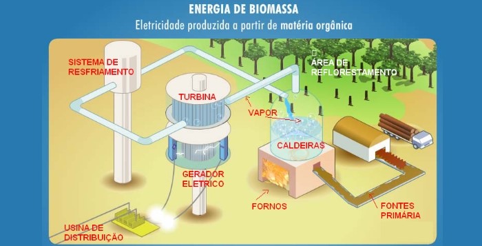 Biomass energy