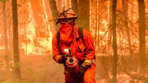 AFP A firefighter battles flames with a burning forest in the background