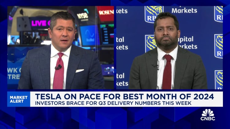 RBC's Tom Narayan says Tesla is where investors can find safety