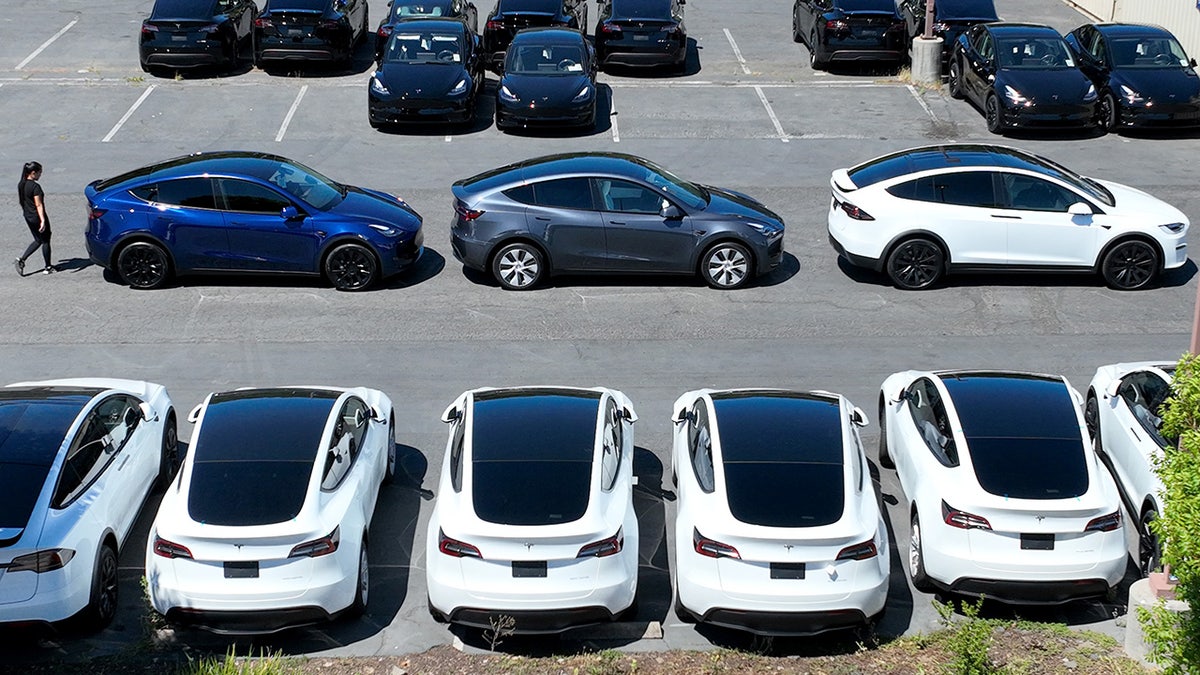 Electric cars are lined up in the parking lot